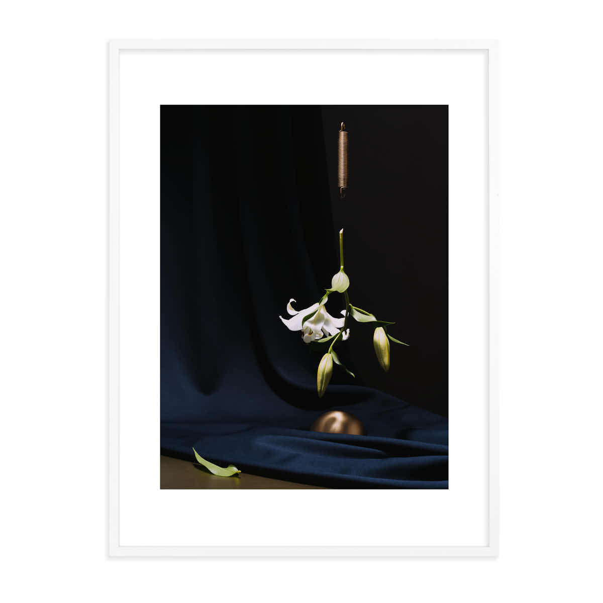 Schwebende Lilie Edition