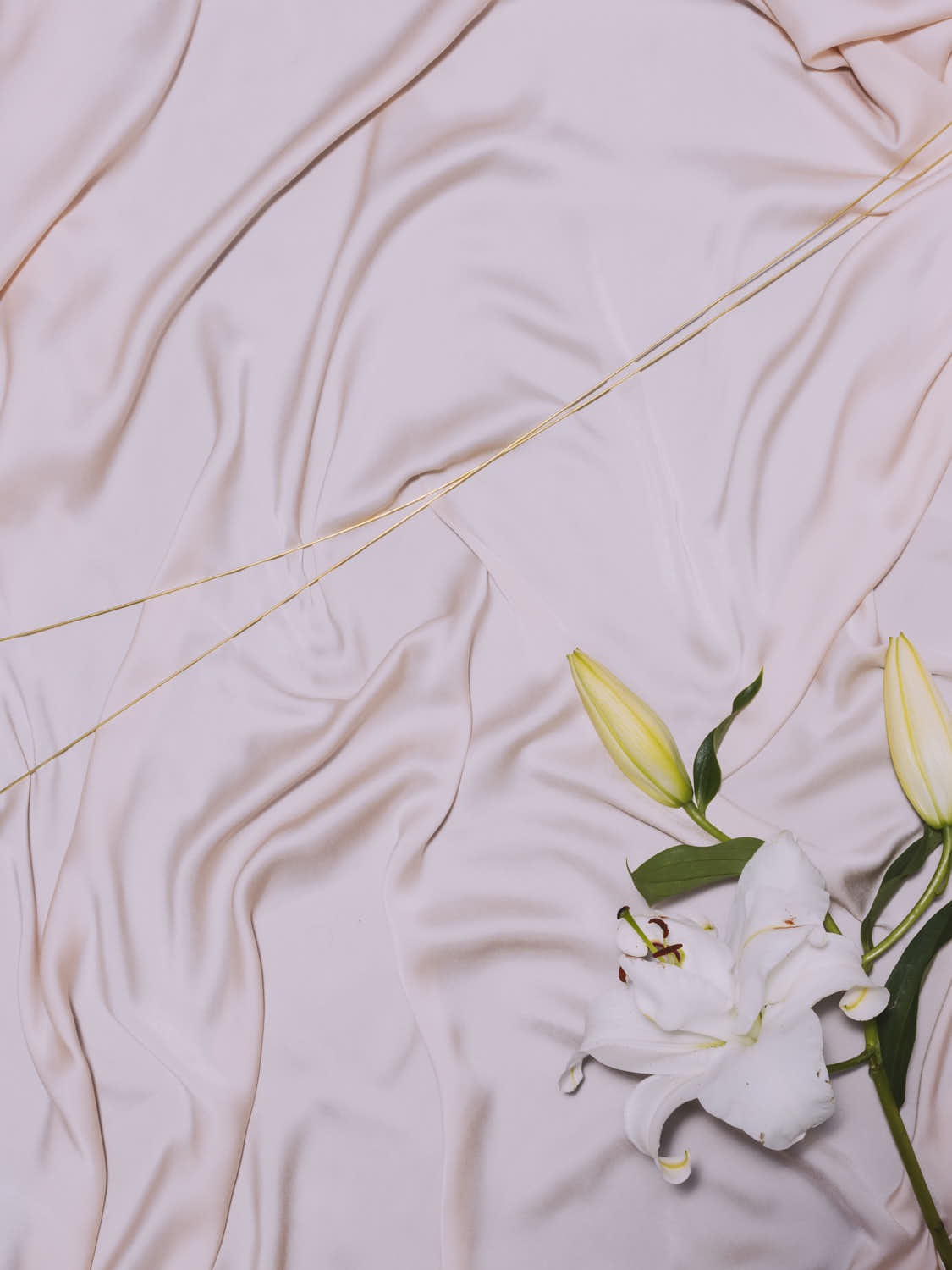 Lilie im Seidenschleier Edition