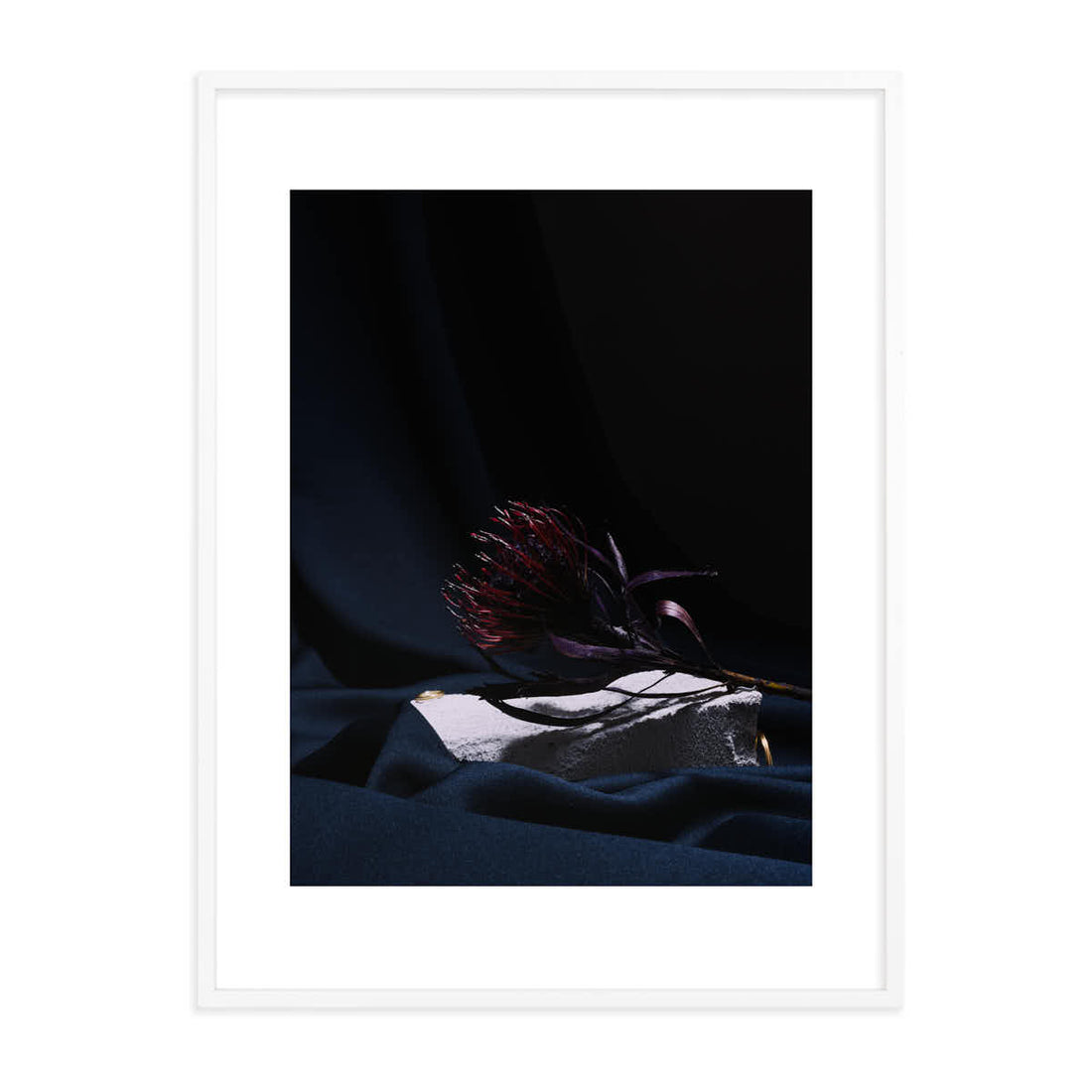 Schattenblüte Edition