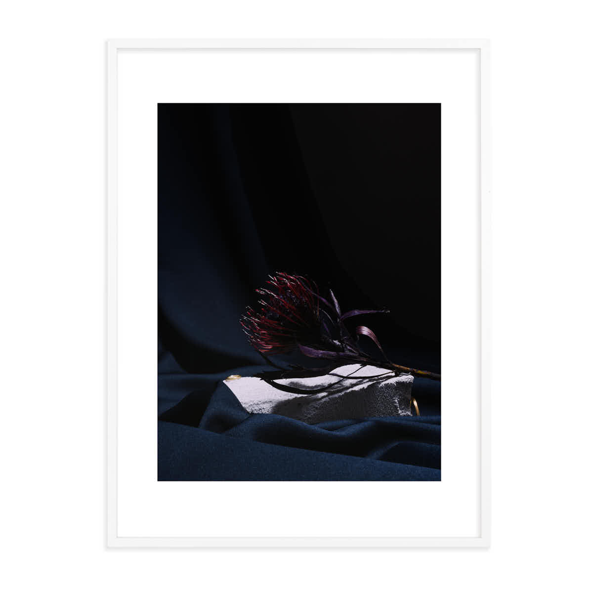 Schattenblüte Edition