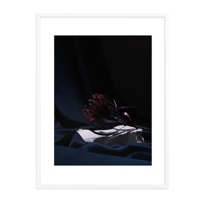 Schattenblüte Edition