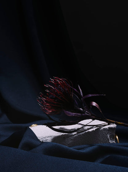 Schattenblüte Edition