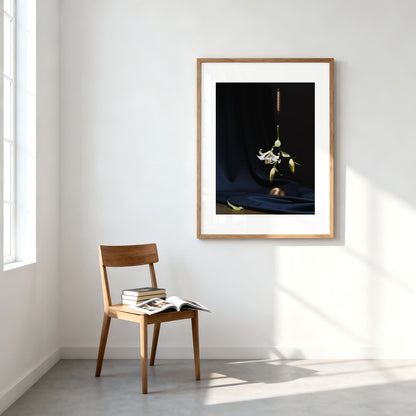 Schwebende Lilie Edition