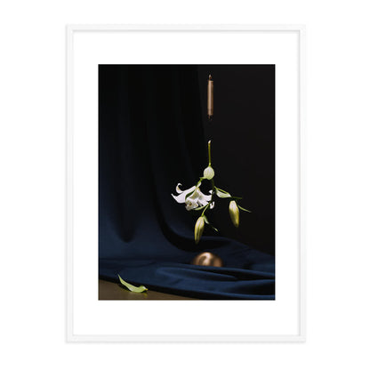 Schwebende Lilie Edition