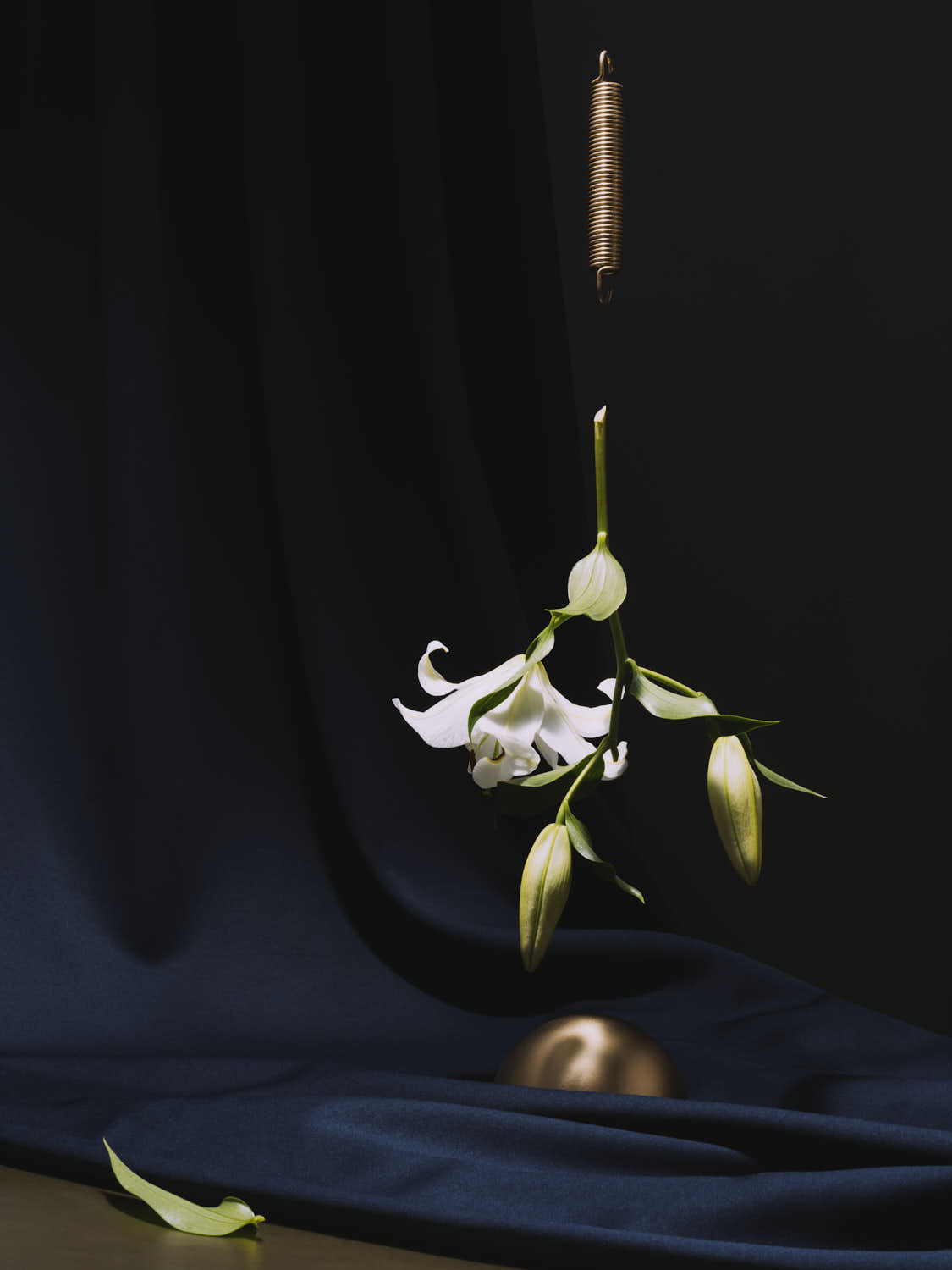 Schwebende Lilie Edition