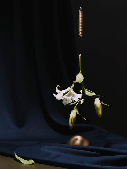 Schwebende Lilie Edition