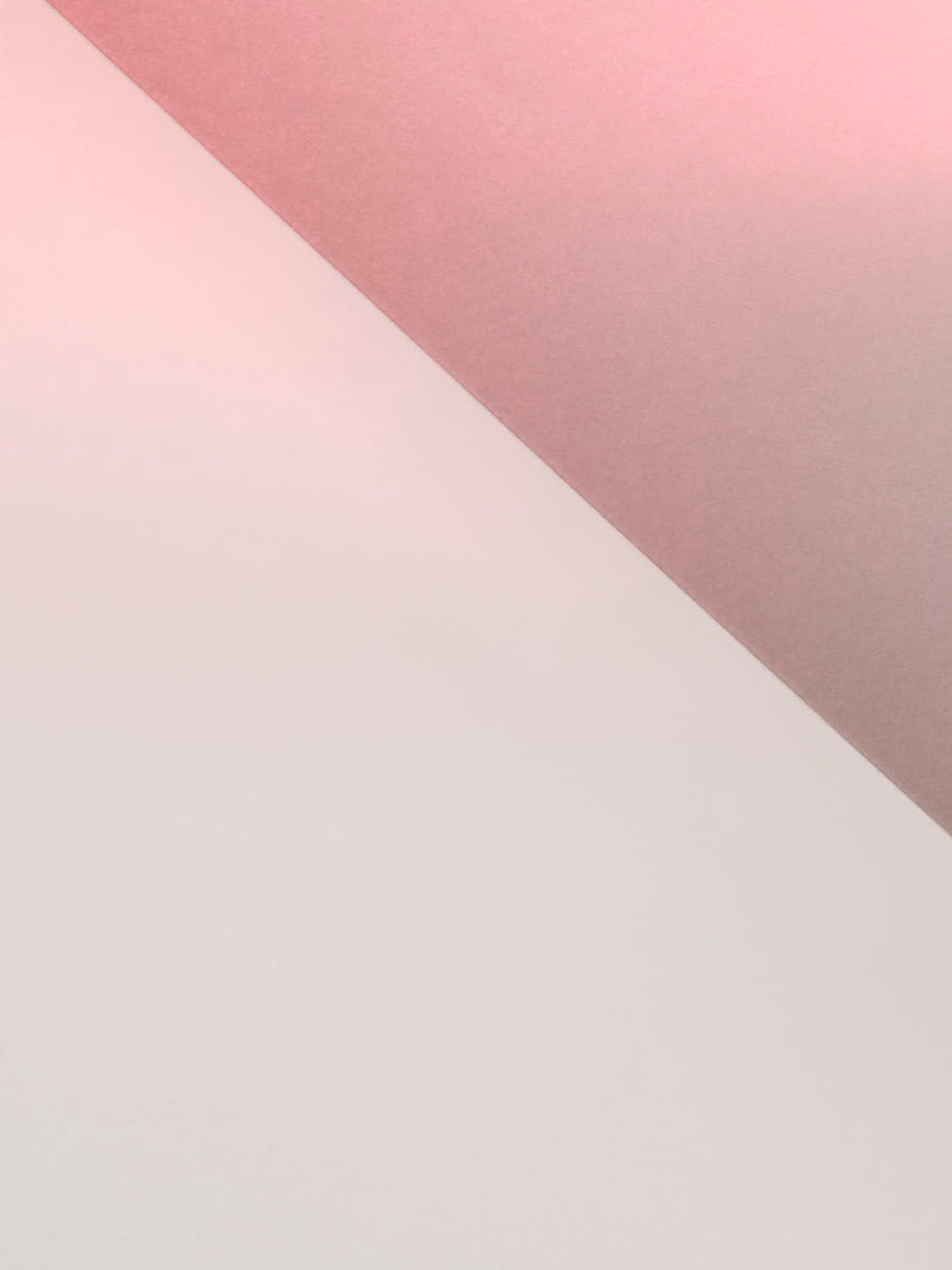 Gedämpfter Roséwinkel Edition