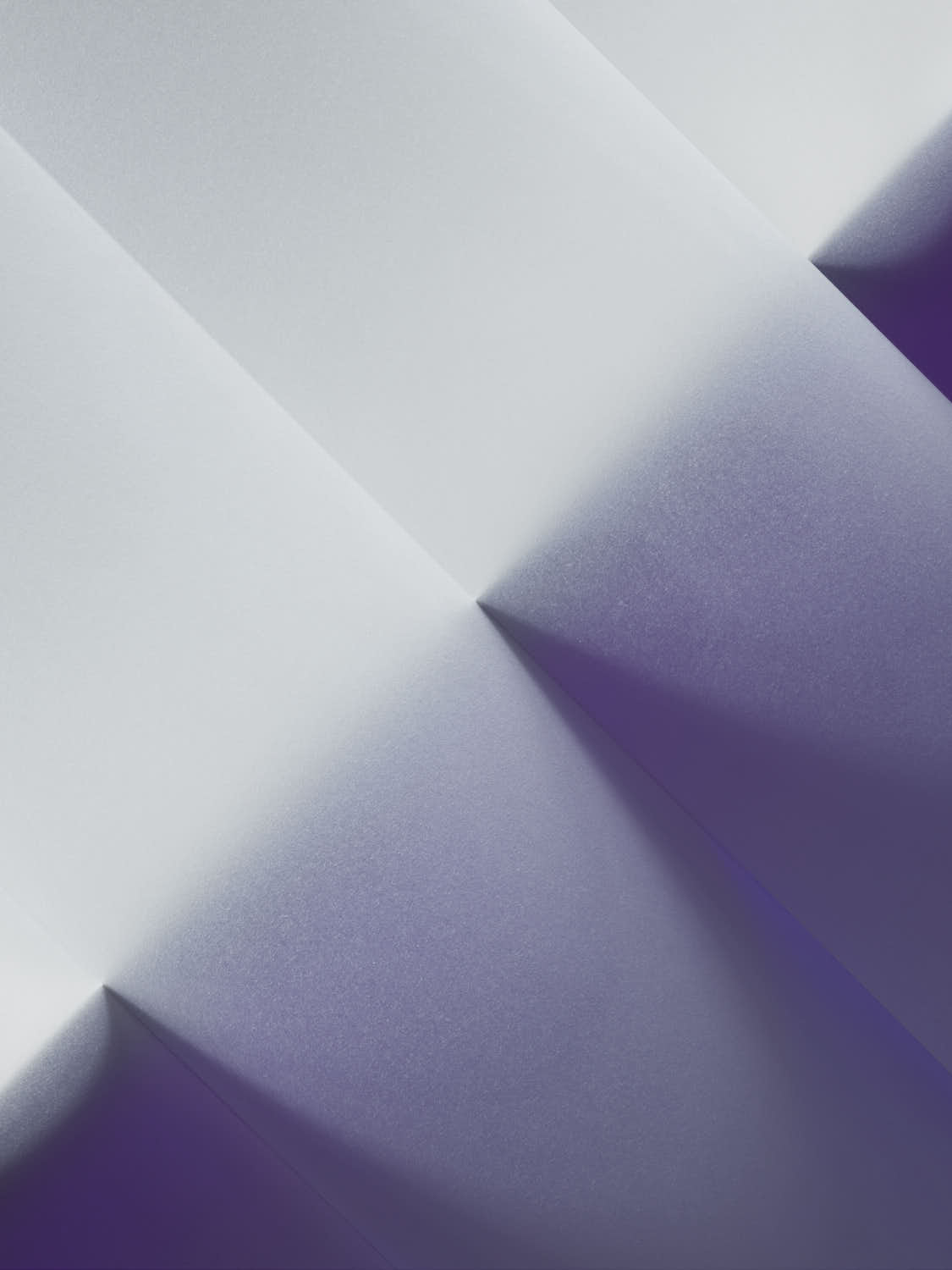 Lavendelschatten Falte Edition